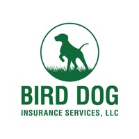 Bird Dog Insurance 