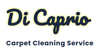 DiCaprio Carpet Cleaning