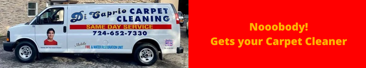 DiCaprio Carpet Cleaning