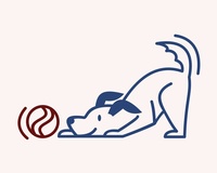 Stay and Play Indoor Dog Park LLC 