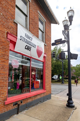 The Fancy Strawberry Cafe - Ice Cream, Coffee, Boba, Good People, New Castle, PA 