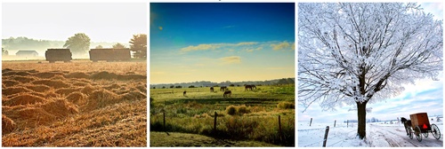 Wilmington Township, Lawrence County, PA