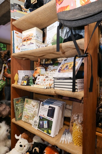 The Spindled Hare - Spinning Wheel, Yarn, Gift Shop