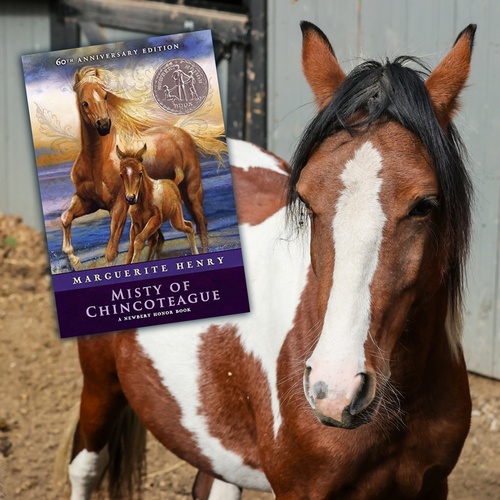 Sparrow - The Great Granddaughter of Misty