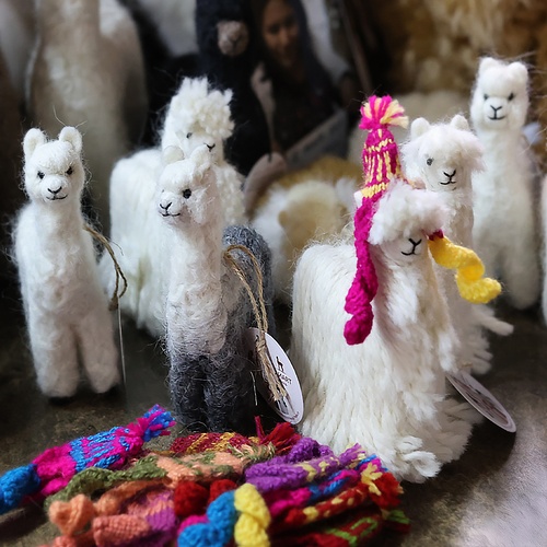 The Spindled Hare Llamas