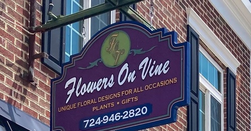 Flowers on Vine, New Wilmington, Pennsylvania, Lawrence County