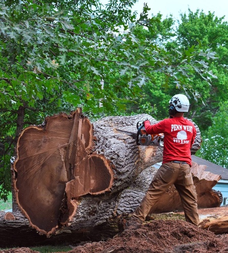 Penn West Tree Service