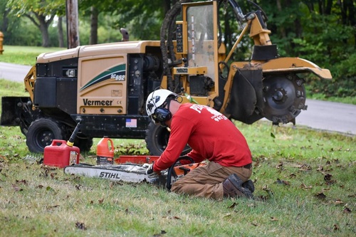 Penn West Tree Service