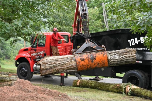Penn West Tree Service
