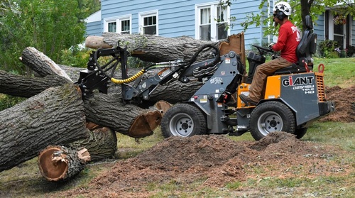 Penn West Tree Service