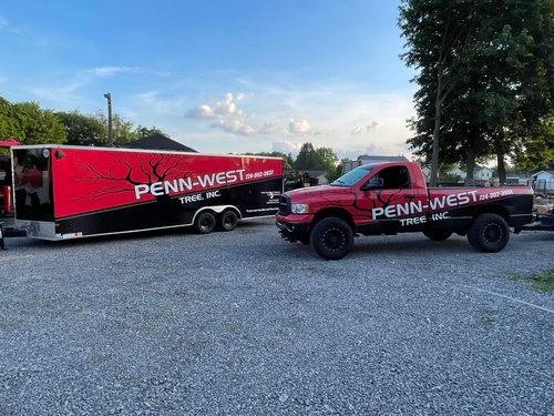 Penn West Tree Service