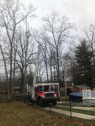 Penn West Tree Service