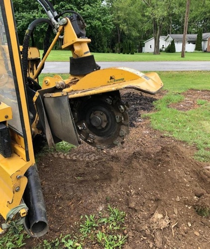 Penn West Tree Service
