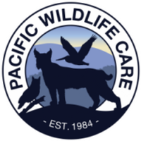 Pacific Wildlife Care