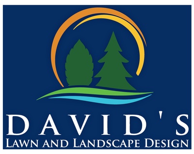 David's Lawn and Landscape Design