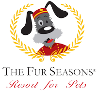 The Fur Seasons The Fur Seasons