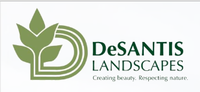 DeSantis Landscapes, Inc.