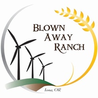 Blown Away Ranch