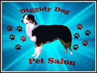 Coleena's Diggidy Dog LLC