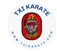 TXI Karate