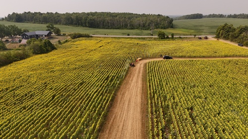 Gallery Image dji_fly_20250807_154928_0656_1754601536642_photo.jpg