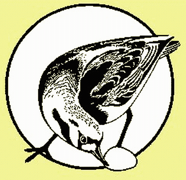 Turnstone Geological Services Ltd. Turnstone Geological Services Ltd.