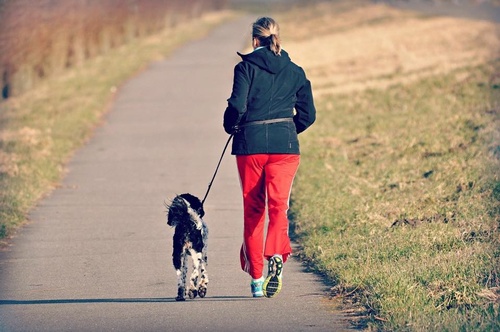 Gallery Image cfordvet1.jpg Gallery Image cfordvet1.jpg