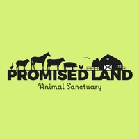 Promised Land Animal Sanctuary