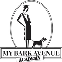 My Bark Avenue Academy