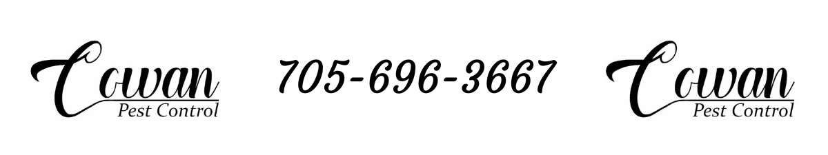 Cowan Pest Control
