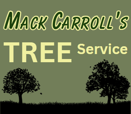 M Carroll's Tree and Landscaping