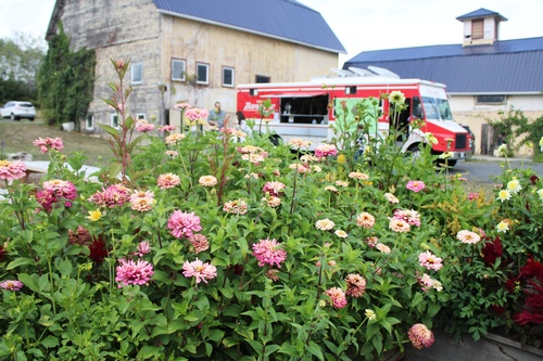 Gallery Image Moonshadow%201.JPG