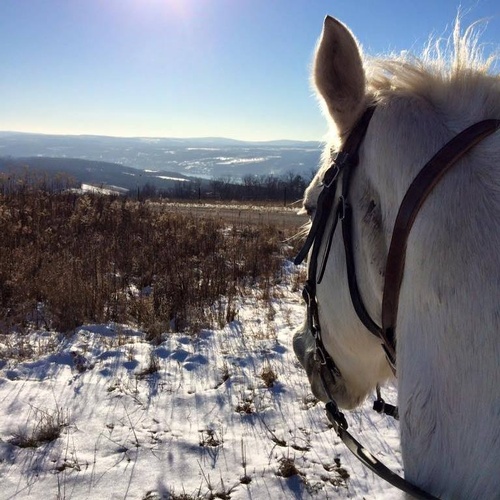 Gallery Image Painted%20Bar%201.jpg