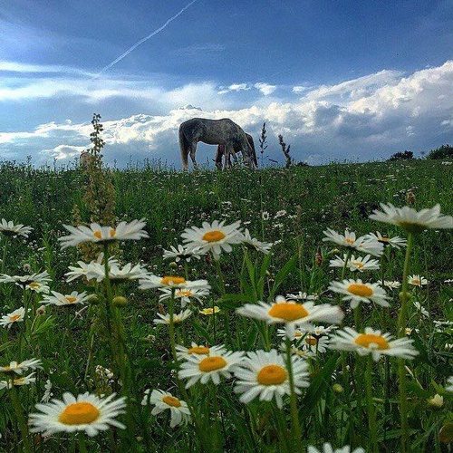 Gallery Image Painted%20Bar%204.jpg