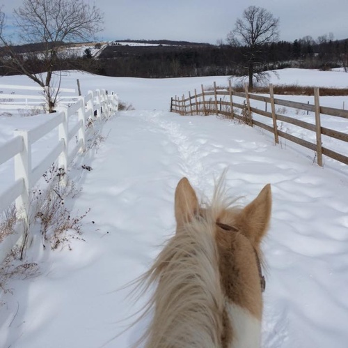 Winter Riding is the Best Riding