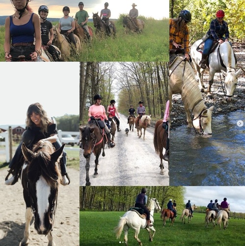 Adult Immersion Retreat Camps