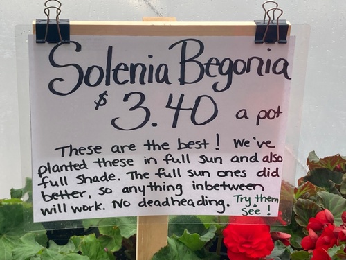 Gallery Image Sunshine%20Farm%2010.jpg