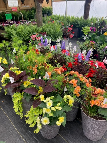 Gallery Image Sunshine%20Farm%202.jpg