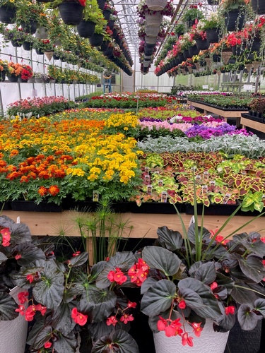 Gallery Image Sunshine%20Farm%203.jpg