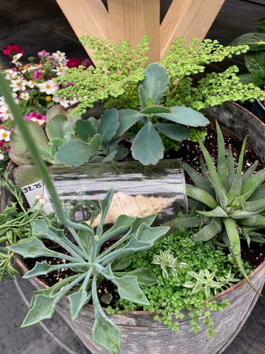 Gallery Image Sunshine%20Farm%209.jpg