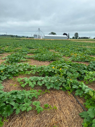 Gallery Image Keuka%20Harvest%209.jpg