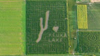 Keuka Harvest