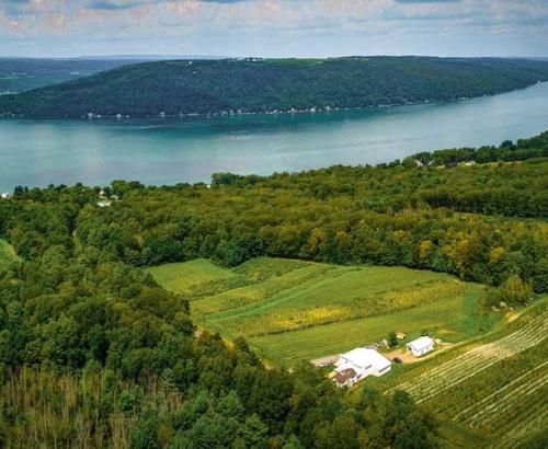 Gallery Image Ravines%202.jpg