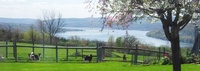 Bow & Wow K-9 B&B