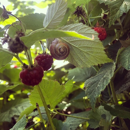 Gallery Image Sugar%20Shack%203.jpg