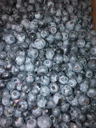 Gallery Image Sugar%20Shack%204.jpg