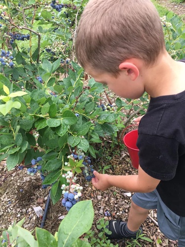 Gallery Image Sugar%20Shack%205.jpg