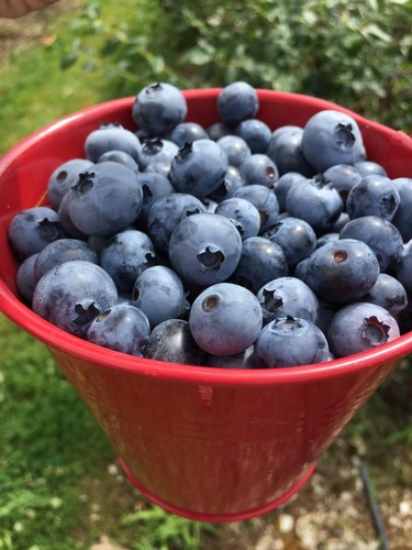 Gallery Image Sugar%20Shack%207.jpg