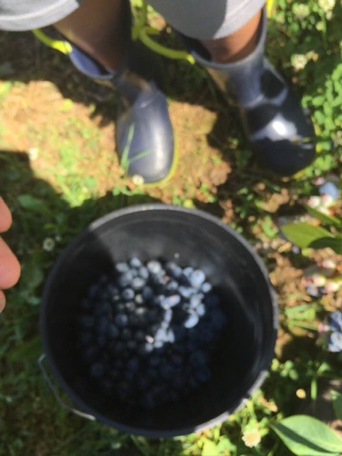 Gallery Image Sugar%20Shack%208.jpg