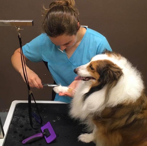 Gallery Image Nicole%201.jpg